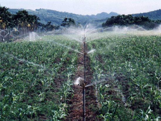 自限溫電伴熱帶在農副產品中的應用